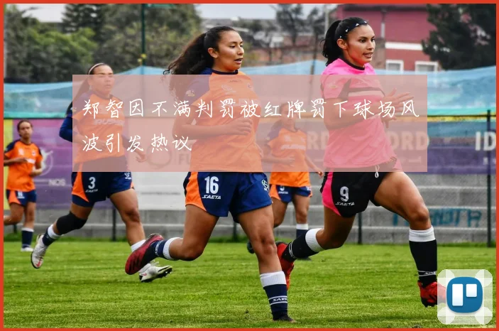 郑智因不满判罚被红牌罚下球场风波引发热议